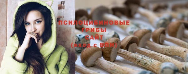 героин Белокуриха