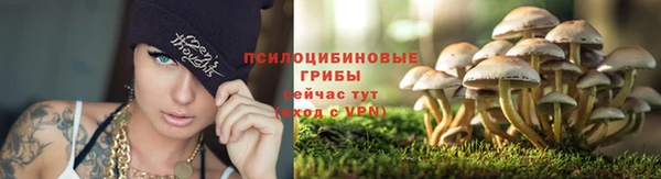 бутират Белоозёрский