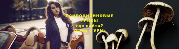 героин Белокуриха