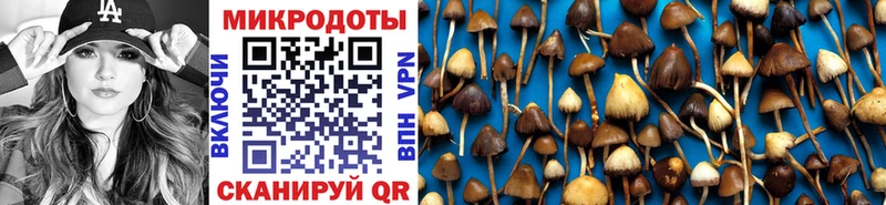Псилоцибиновые грибы Cubensis  Большой Камень 